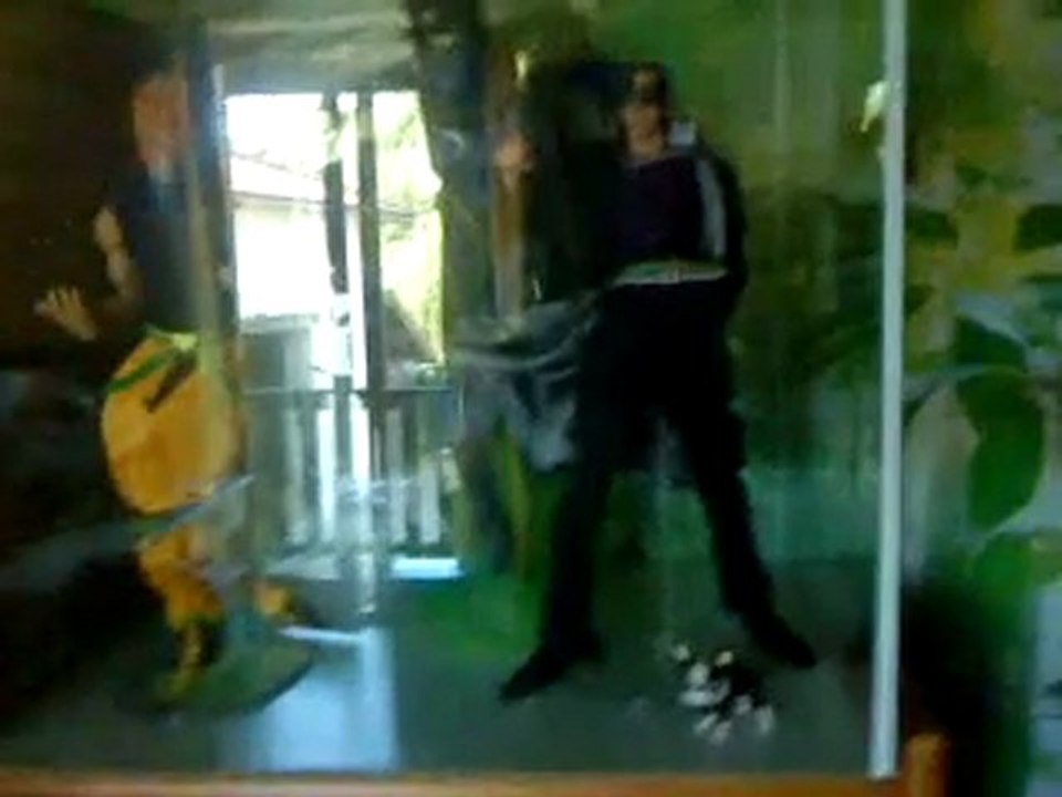 RAH JJBA medicom star platinum + jotaro kujo