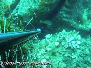 Corbs - APN Panasonic Lumix TZ7