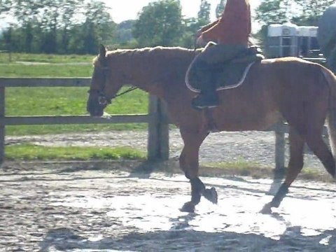 Trot rênes longues main gauche mardi 26/07/2011