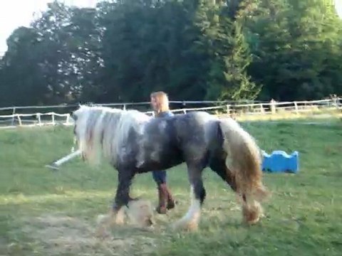 Tao & Wako liberté + trec