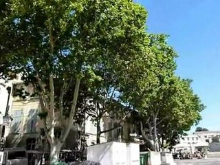 La place du palais des papes à Avignon