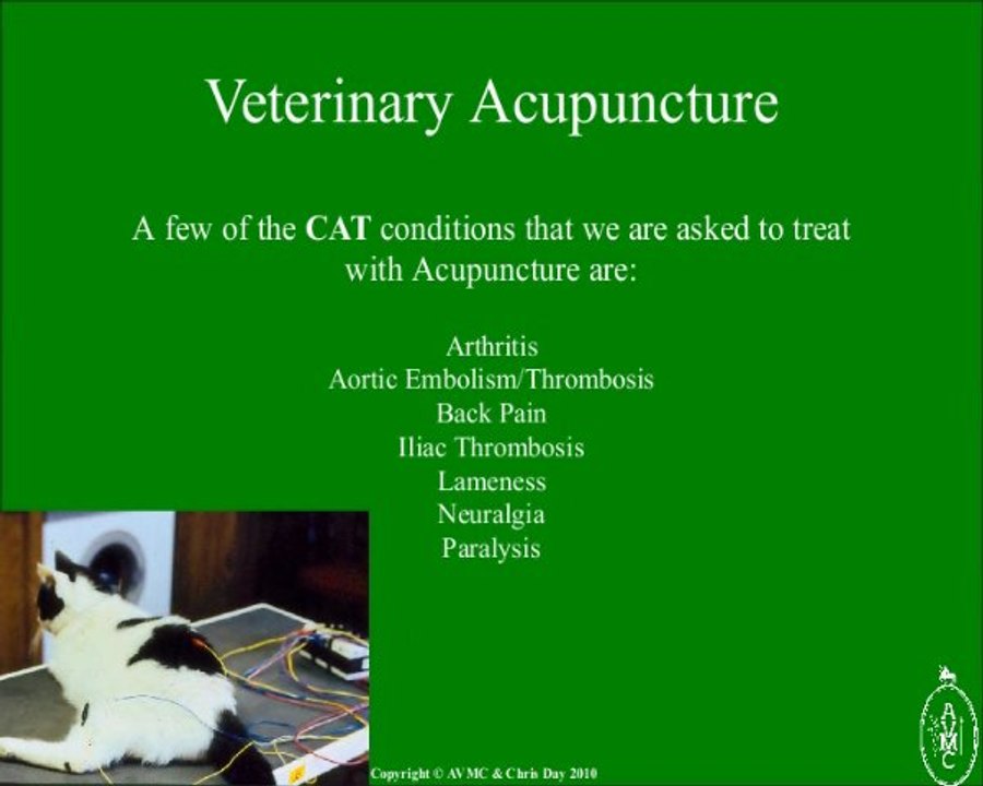 Veterinary Acupuncture - Acupuncture Vet UK