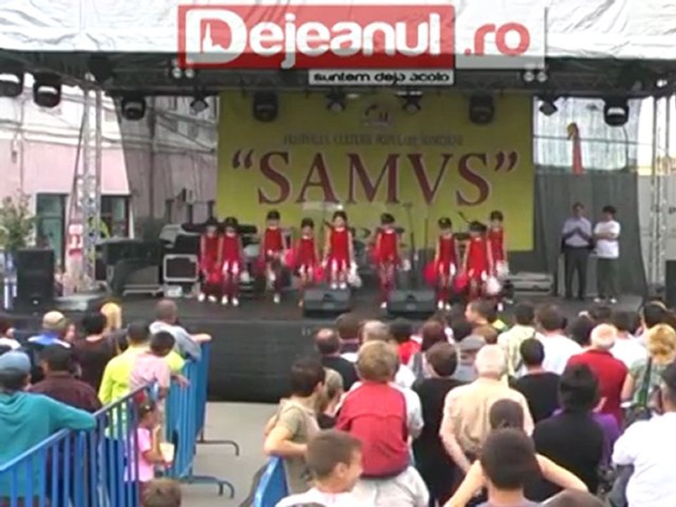 ZIlele Dejului 2011