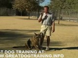 Dog training - How to Train a Dog to Stop Barking