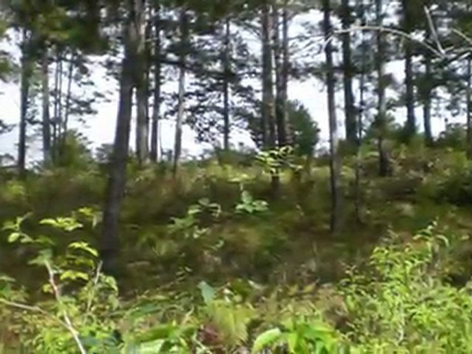 Venta de Terreno de 13 Manzanas en Intibucá