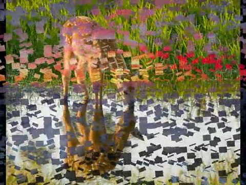 MUSA EROĞLU-YİNE KARLAR YAĞDI