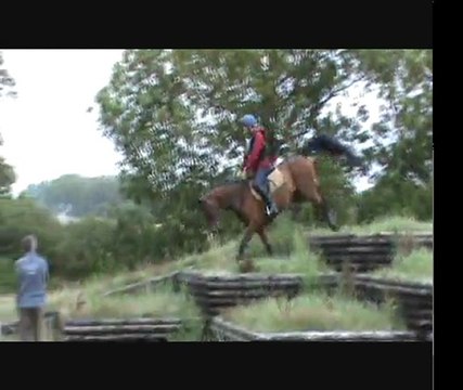 stage rodolphe scherer spring garden groupe 2