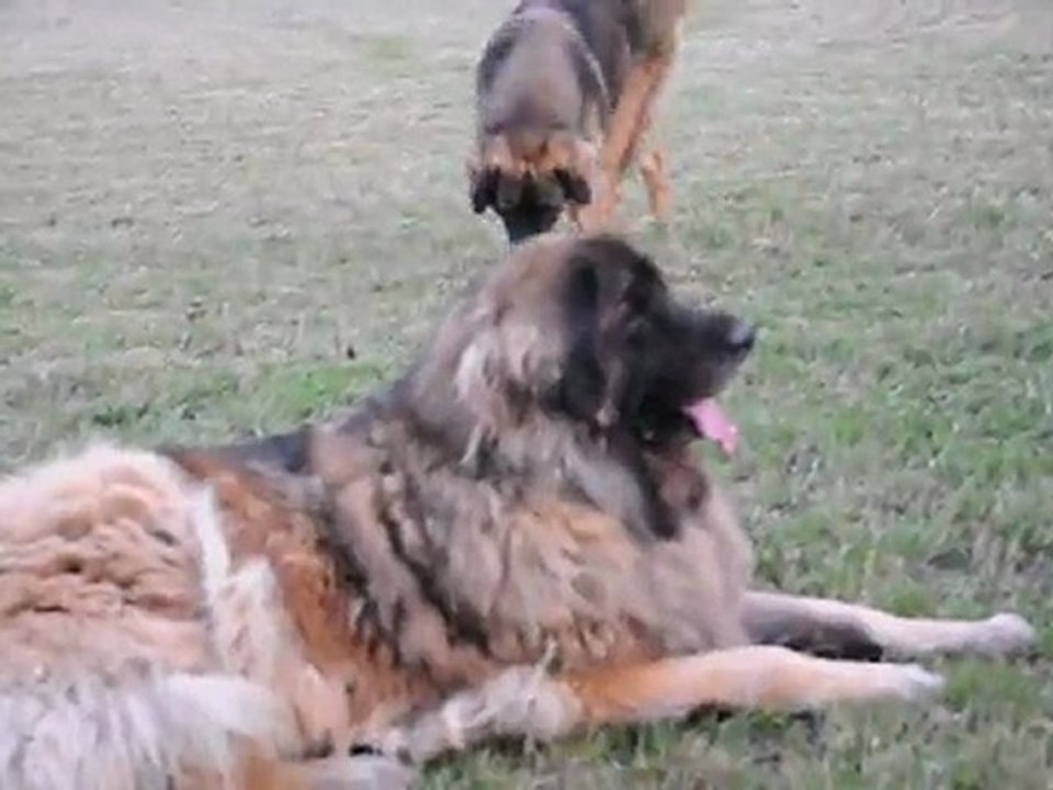 Mouvement(s) en mouvement