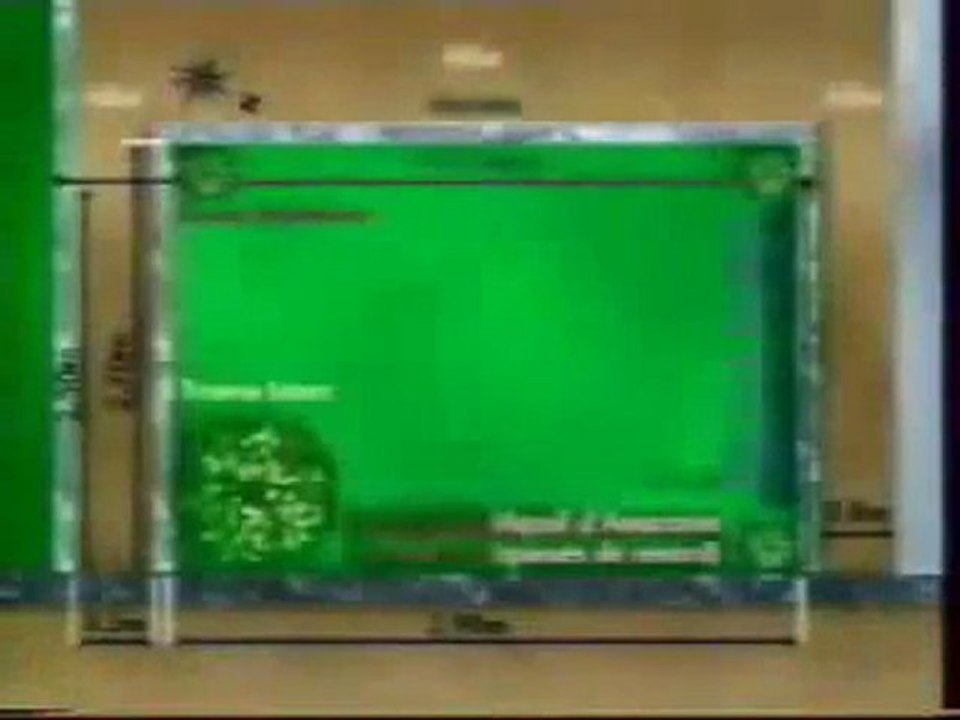 Ufo (Nancy France 1982)