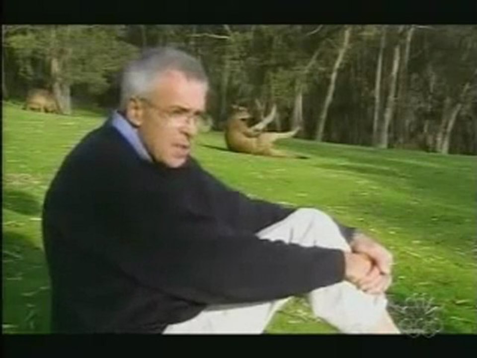 Kangaroo holt sich einen Runter