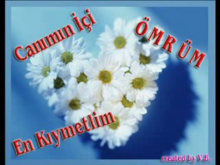 Canimin ici