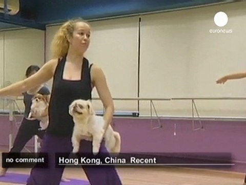 yoga classes for dogs in Hong Kong - no comment