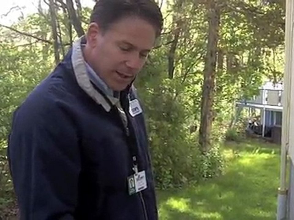 Termites Inspection Fairfield CT Wood Near Foundation Ants