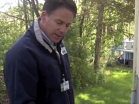 Termites Inspection Fairfield CT Wood Near Foundation Ants