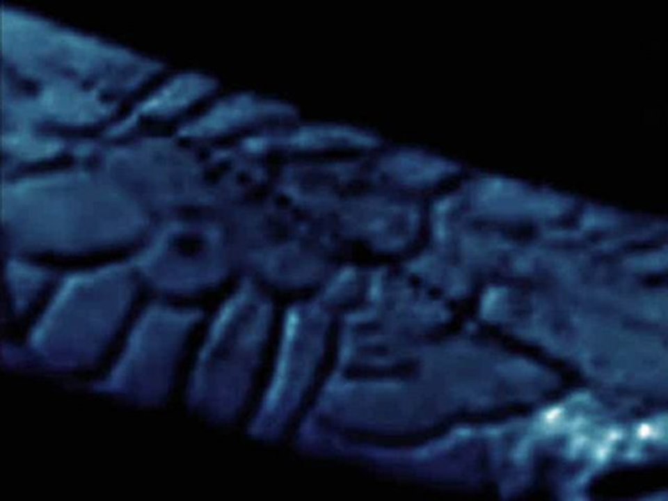 Apollo20 Real   natgeo gets Ribbed