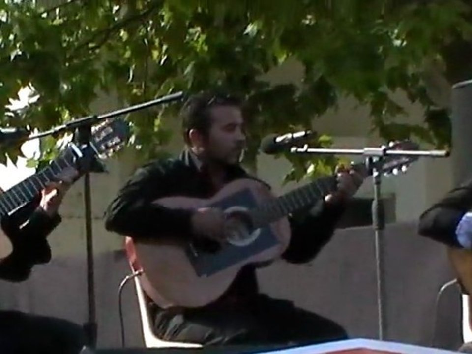 les 100 guitares gipsy