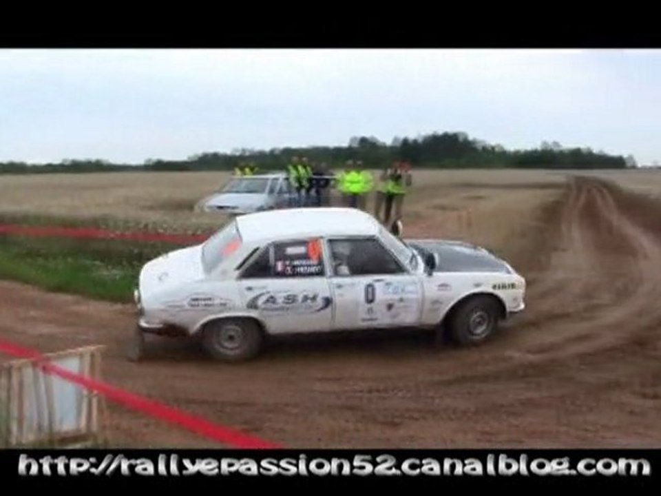 David Henry (Peugeot 504) - Rallye Terre de Langres 2011