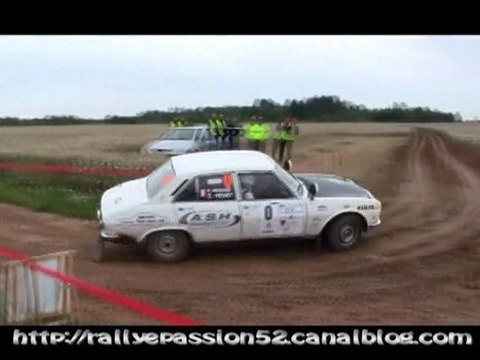 David Henry (Peugeot 504) - Rallye Terre de Langres 2011
