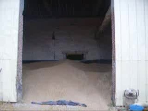 delire de mimi et pif