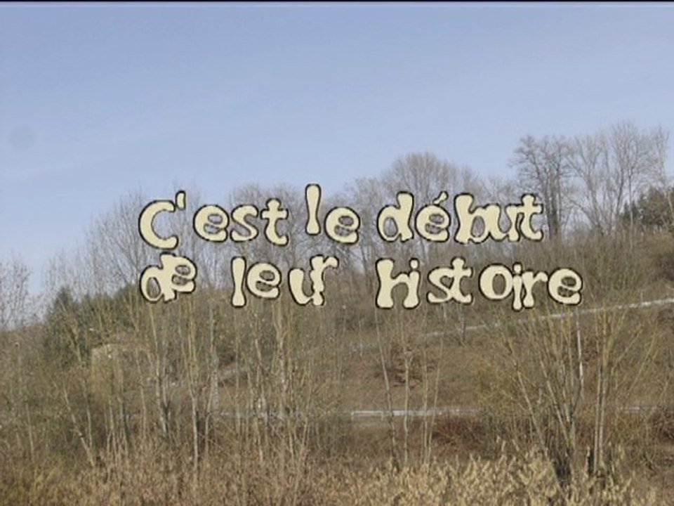 Faire part mariage