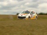 Volant Peugeot 207 - Rallye Terre de Langres 2011