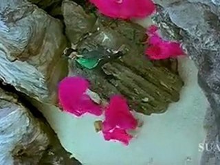 Chellam Vada Chellam