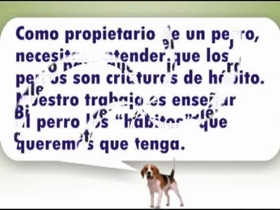 adiestramiento-del-perro