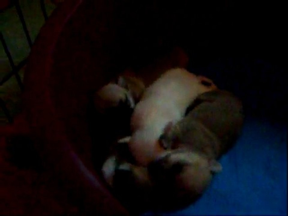 videos 27 juillet 11 001