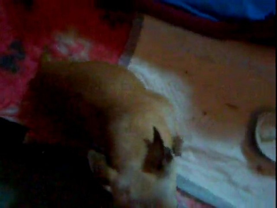 videos 27 juillet 11 002