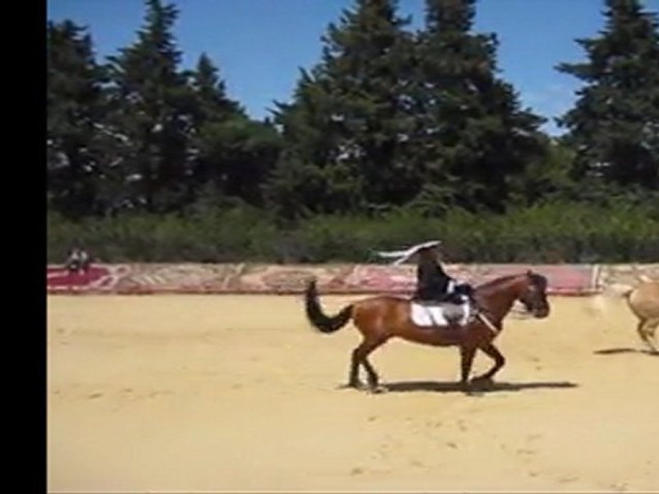 Marialva 2011
