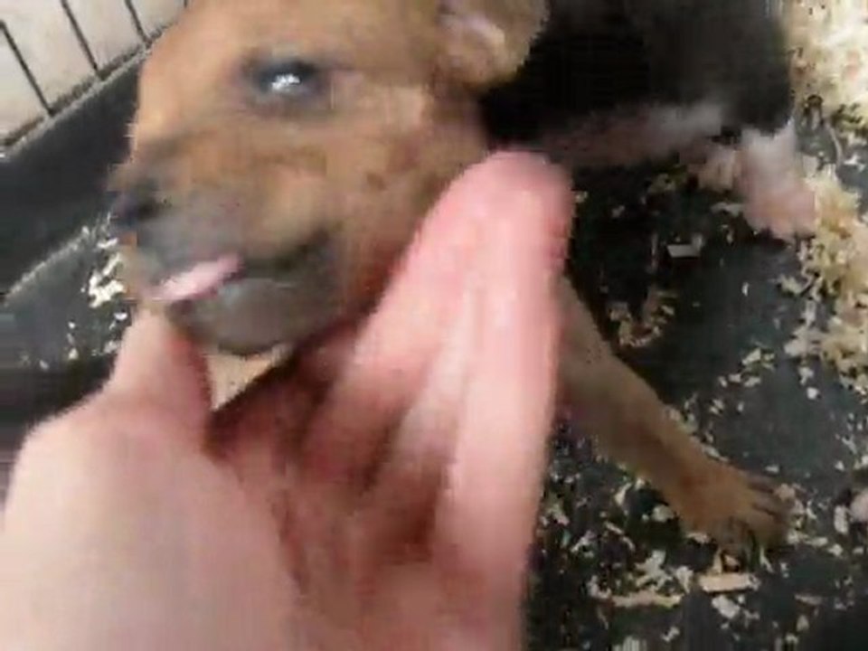 BBS CELTIC 26072011_0001