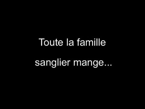 Troupeau de sangliers de nuit - Piège vidéo et photo - ScoutGuard SG 570