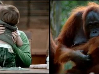 WWF - Nous sommes tous connectés