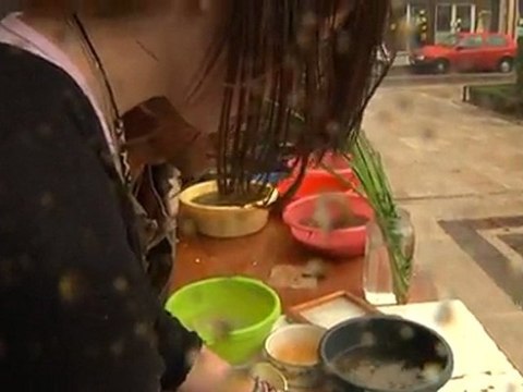 Des plantes transformées en papier! (Troyes)