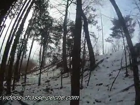 Chasse chevreuil à l'approche - Caméra embarquée GoPro HD