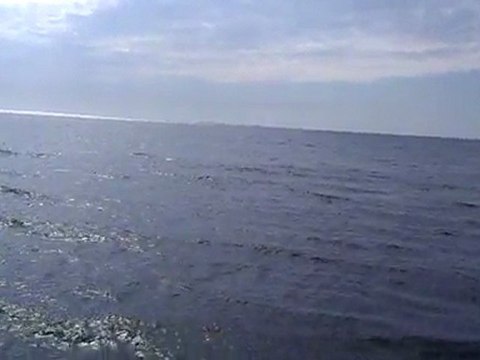 HTC Desire Z test video 720p HD, recorded with Android 2.3 (Gingerbread).