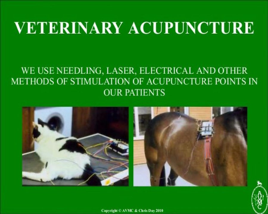 Alternative Veterinary Medicine - Holistic Vet UK