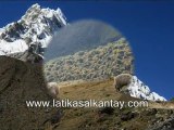 salkantay  trek - latika adventures