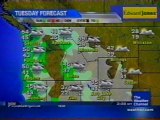 TWC Satellite Local Forecast from January-February 2010 Daytime #9