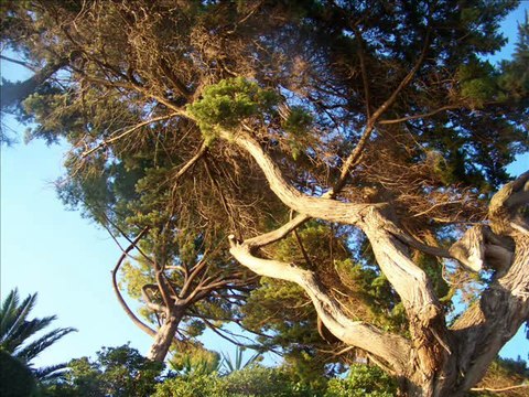Petite ballade moto de Biot au Cap d'Antibes