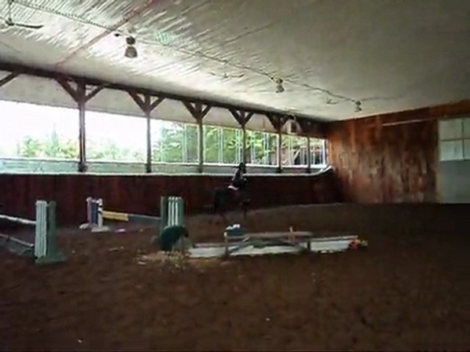 Gymnastique - 5 sauts de puce a 2.3 pieds