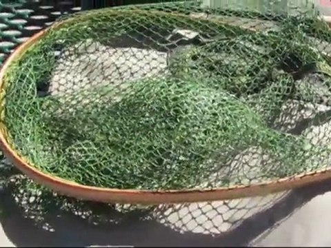 Hendrix Outdoors - Hendrix 9 foot CGR, 4 piece, 6 weight rod,net