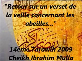 18. Retour sur un verset de la veille concernant les abeilles...{Cheikh Ibrahim Mulla}