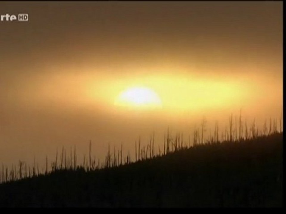 Jurassic Fight Club (Chasseurs chassés) 3