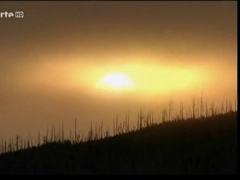 Jurassic Fight Club (Chasseurs chassés) 3