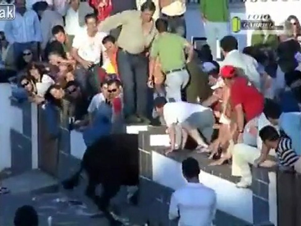 Große Footage von Running With Bulls!