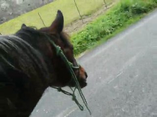 Libertée Exterrieur