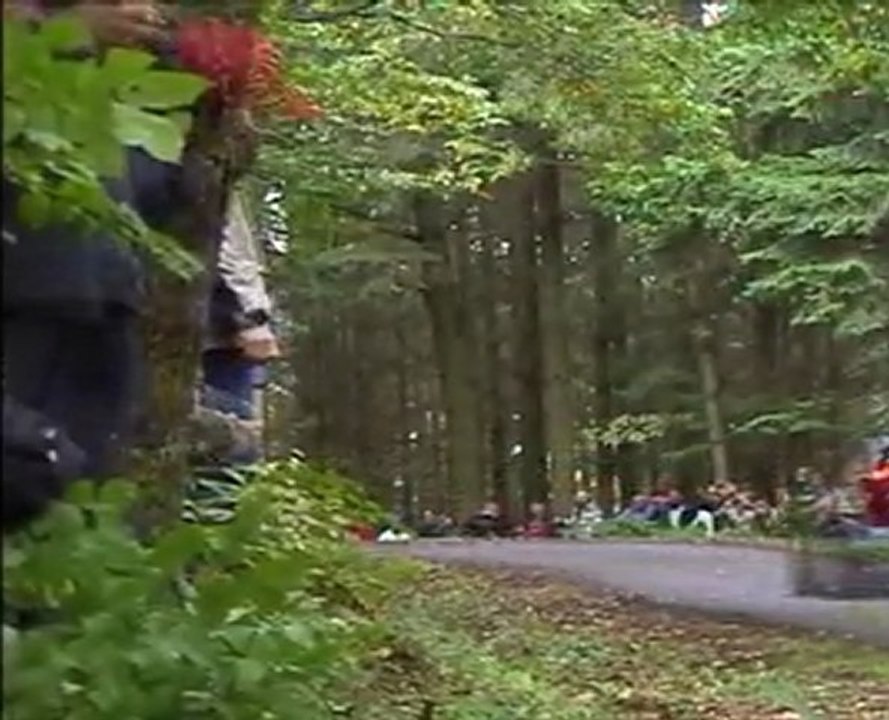 BEST OF rallye d' Alsace WRC 2010