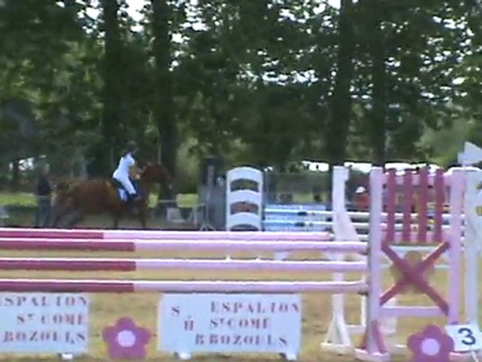 REINE DE LA CRECQUE ESPALION 14 JUILLET 2011 PREPA 110