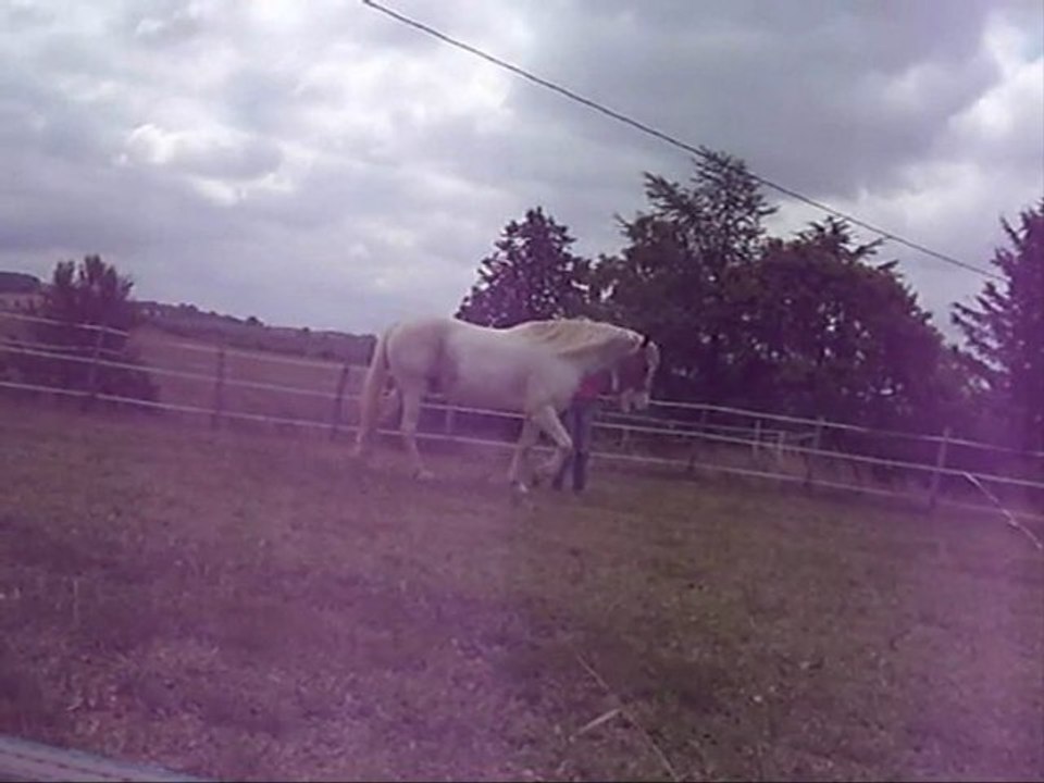 cheyenne_20110724_0001